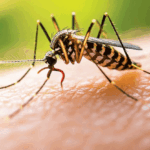 Cambio Climático provoca la mayor epidemia de dengue jamás registrada en América