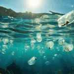 Científicos encuentran microbios marinos que comen plástico