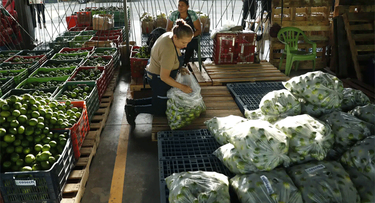 El Salvador apuesta $52.9 millones por la autosuficiencia alimentaria en 2026