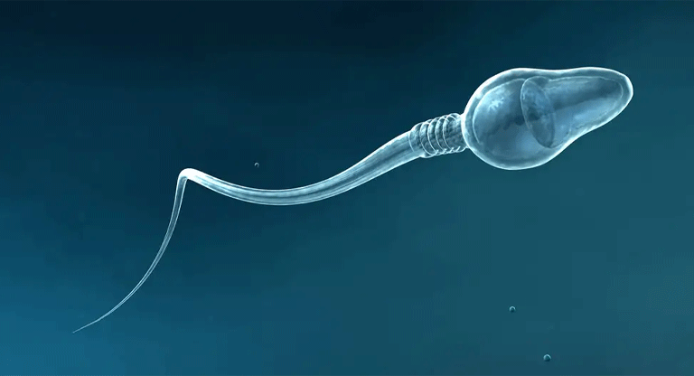 Logran primer embarazo en caso de infertilidad masculina con ayuda de la IA