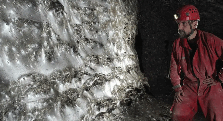 Científicos hallan megaciudad de 111,000 arañas bajo tierra