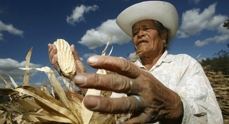 Informe del BID alerta sobre la necesidad de producir suficiente alimento en América Latina