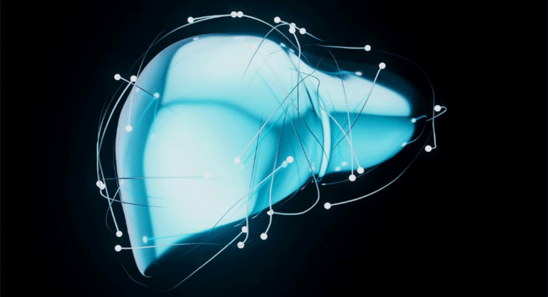 Edulcorante de los productos light podría afectar al hígado
