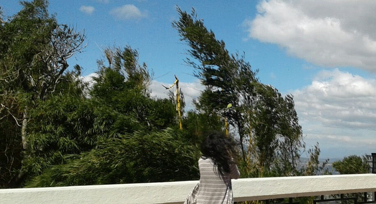 Vientos Nortes persistirán y MARN advierte sobre riesgos de incendios y frío