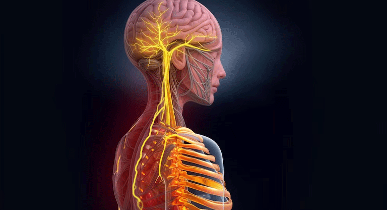 Innovador dispositivo estimula el nervio vago y mejora síntomas de la artritis reumatoide