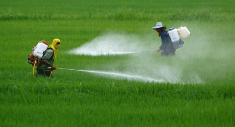 Bayer paga USD 7,250 millones para cerrar demandas por el uso de glifosato, cómo afecta a El Salvador