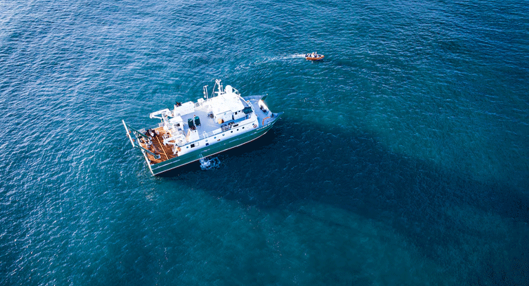 Cambios en una corriente oceánica de Florida podrían causar estragos en todo el mundo