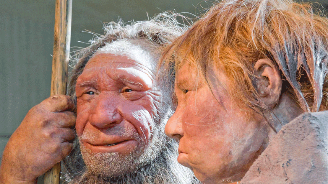 Los neandertales hombres preferían a las mujeres Homo sapiens