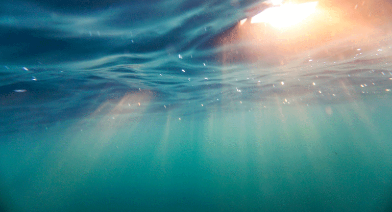 Las olas de calor marinas y cómo potencian el impacto de los huracanes en zonas costeras