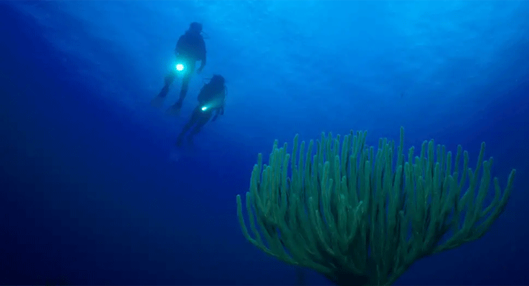 El misterio de la «ciudad sumergida» de Cuba