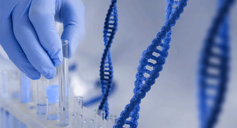 El ADN mitocondrial cambia con la edad y afecta a la salud después de los 60