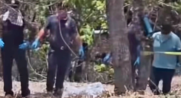 Asesinatos por delincuencia común alertan a la población salvadoreña