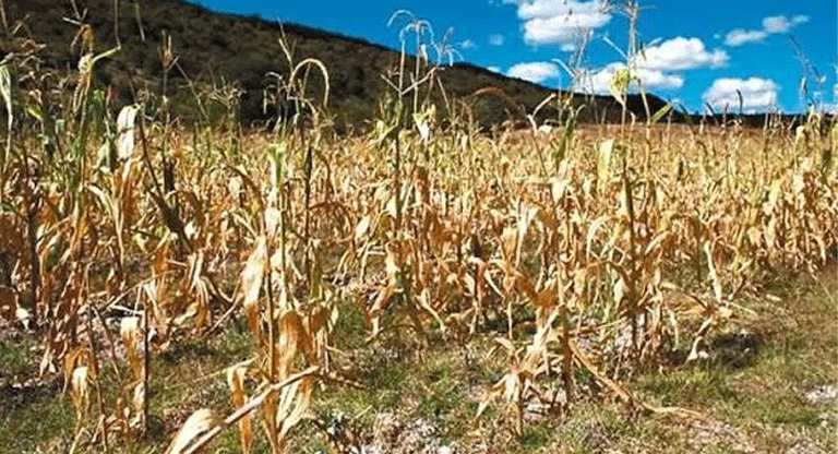 Sequía meteorológica persiste pese a lluvias puntuales en algunas zonas del país