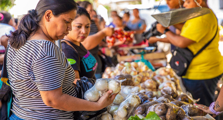 La canasta básica sube $6.89 en un año y ya absorbe hasta el 95% del salario mínimo agrícola