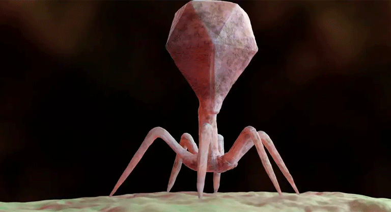 Virus creados con IA combaten bacterias resistentes