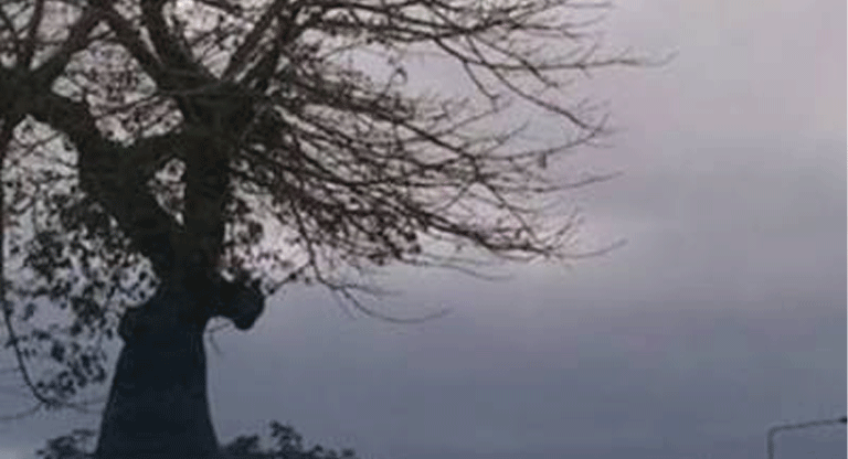 Lluvias por onda tropical darán alivio temporal al calor extremo y la sequía en El Salvador