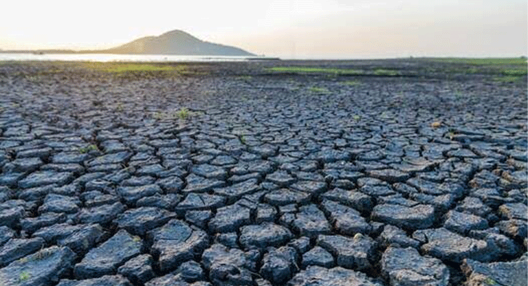 700 comisiones se preparan ante sequía que amenaza agua, cosechas y precios de alimentos en El Salvador