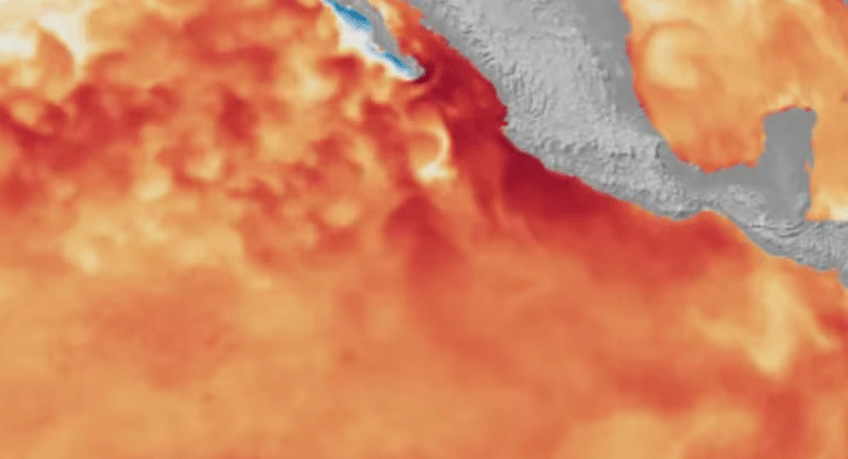 El Niño “muy fuerte” eleva el riesgo de sequía, incendios y crisis alimentaria