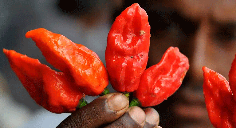 Estudio clínico asegura que comer picante protegería el corazón y el cerebro