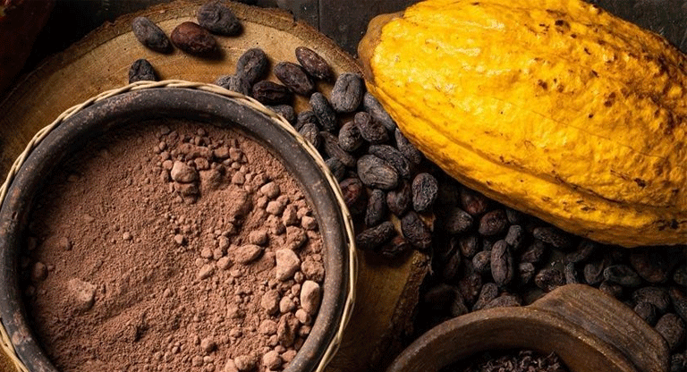 Cacao salvadoreño muestra un déficit comercial de $21.1 millones a agosto de 2026