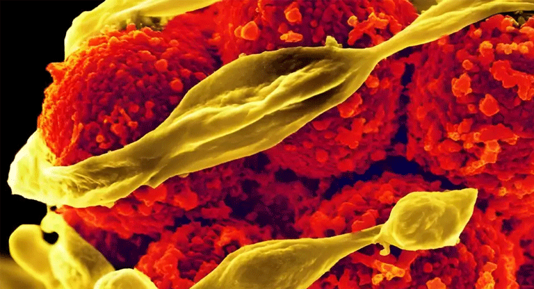 La IA abre nuevas posibilidades en la búsqueda de antibióticos