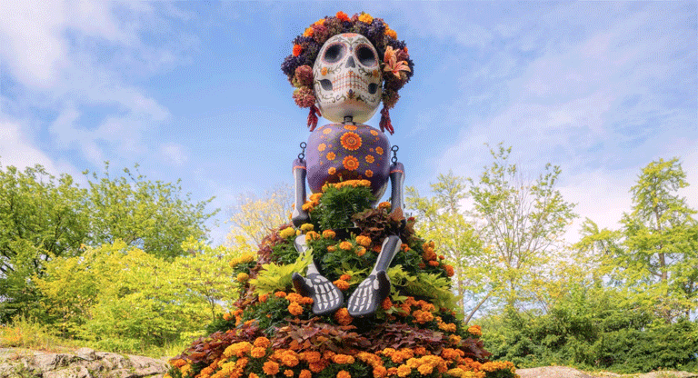 El cempasúchil la flor mexicana queadorna los altares del Día de Muertos